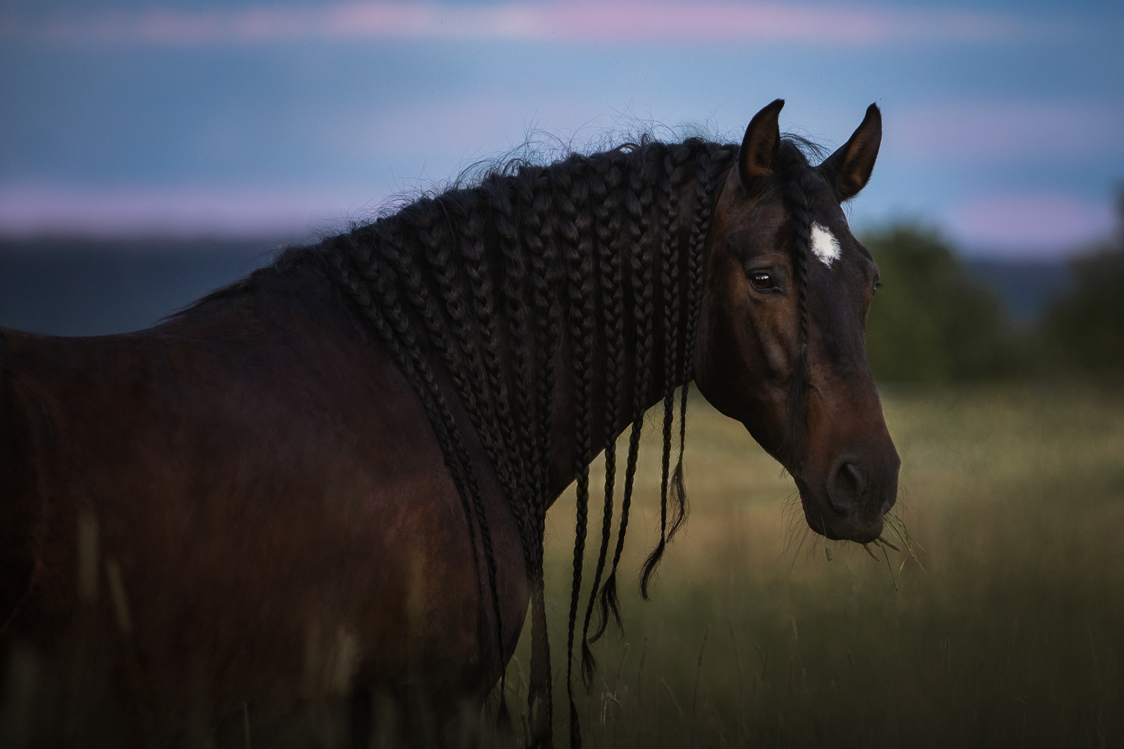 WEBFreyNaemi__81A0272